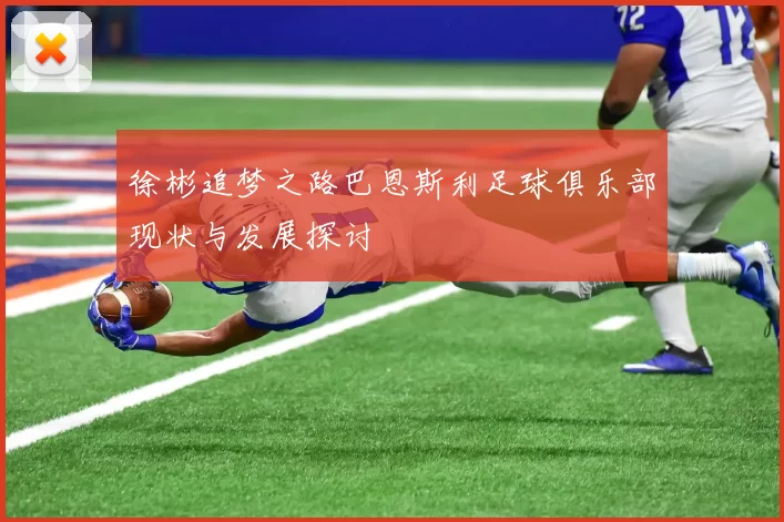徐彬追梦之路巴恩斯利足球俱乐部现状与发展探讨