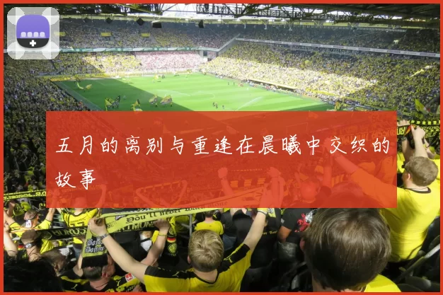 五月的离别与重逢在晨曦中交织的故事