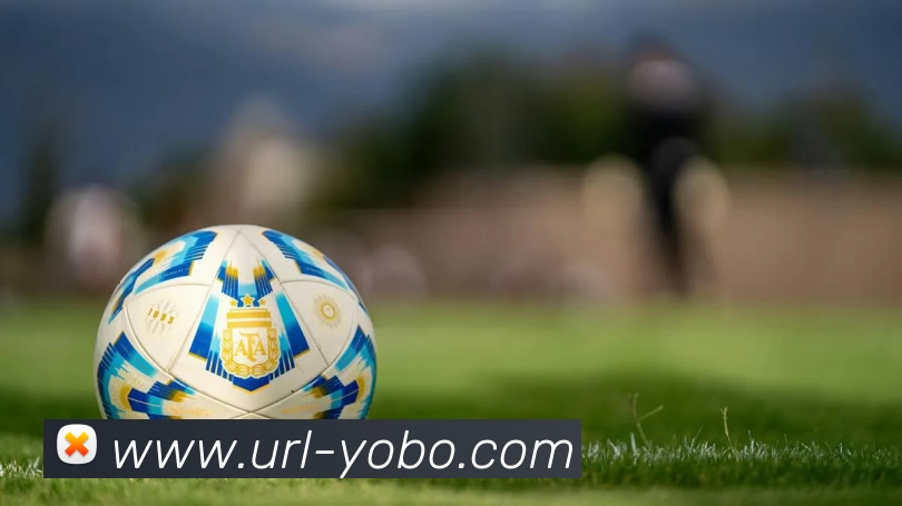 App Interface Preview